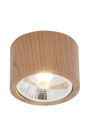   
                        
                        Точковий світильник ZUMALINE (Польща) 68924    
                         у стилі Скандинавський.  
                        Тип джерела світла: світлодіодна лампа, змінна.                         Форма: Циліндр.                         Кольори плафонів і підвісок: Коричневий.                         Матеріал: Дерево.                          фото 1