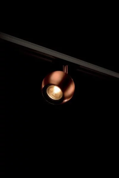   
                        Трековий світильник SLV (Німеччина) 85570    
                         у стилі Хай-тек.  
                        Тип джерела світла: світлодіодна лампа, змінна.                         Форма: Куля.                         Кольори плафонів і підвісок: Мідь.                         Матеріал: Сталь.                          фото 2