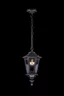   
                        Светильник уличный MAYTONI  (Германия) 88716    
                         в стиле Классика.  
                        Тип источника света: светодиодная лампа, сменная.                                                 Цвета плафонов и подвесок: Прозрачный.                         Материал: Стекло.                          фото 3