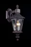   
                        Светильник уличный MAYTONI  (Германия) 88724    
                         в стиле Классика.  
                        Тип источника света: светодиодная лампа, сменная.                                                 Цвета плафонов и подвесок: Прозрачный.                         Материал: Стекло.                          фото 3