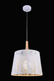   
                        
                        Люстра MAYTONI (Германия) 89074    
                         в стиле Модерн.  
                        Тип источника света: светодиодная лампа, сменная.                         Форма: Круг.                         Цвета плафонов и подвесок: Белый.                         Материал: Сталь.                          фото 1