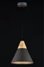   
                        Люстра MAYTONI (Німеччина) 90631    
                         у стилі лофт, скандинавський.  
                        Тип джерела світла: cвітлодіодні led, енергозберігаючі, розжарювання.                         Форма: коло.                         Кольори плафонів і підвісок: сірий.                         Матеріал: метал.                          фото 2