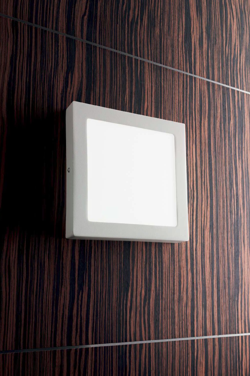   
                        Світильник настінний IDEAL LUX (Італія) 94025    
                         у стилі модерн.  
                        Тип джерела світла: вбудовані світлодіоди led.                                                 Кольори плафонів і підвісок: білий.                         Матеріал: пластик.                          фото 2