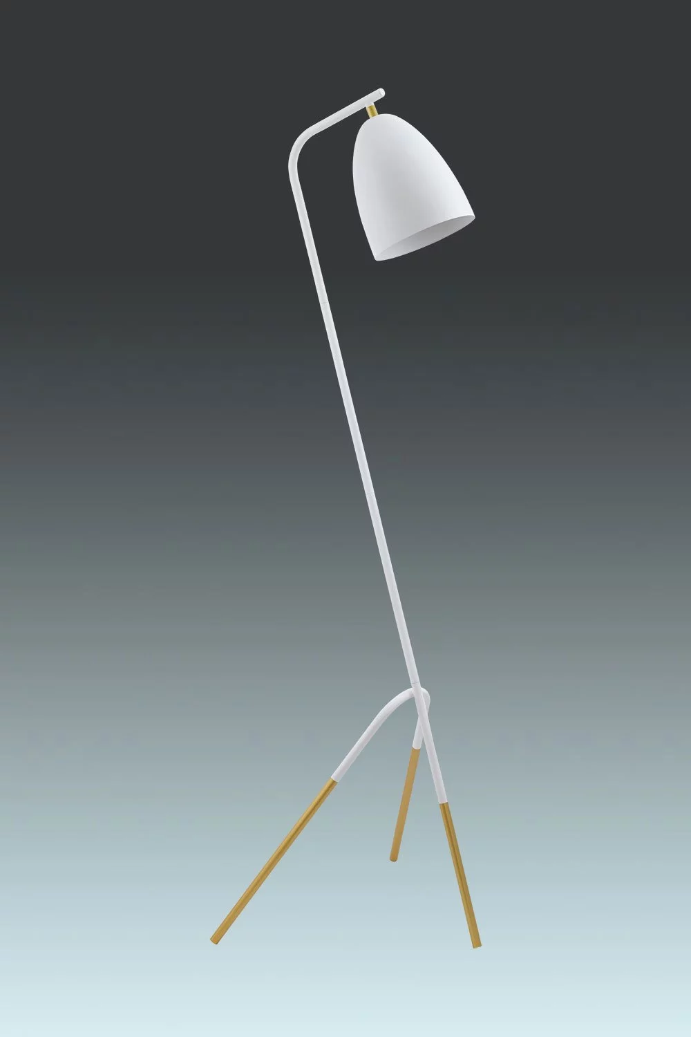   
                        
                        Торшер EGLO (Австрия) 96419    
                         в стиле Модерн.  
                        Тип источника света: светодиодная лампа, сменная.                                                 Цвета плафонов и подвесок: Белый.                         Материал: Сталь.                          фото 1